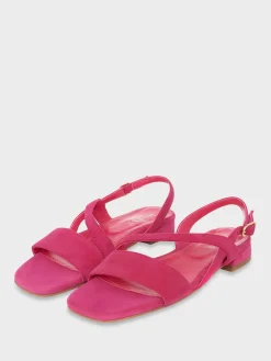 Womem Hobbs Flats|Mila Flat Sandal